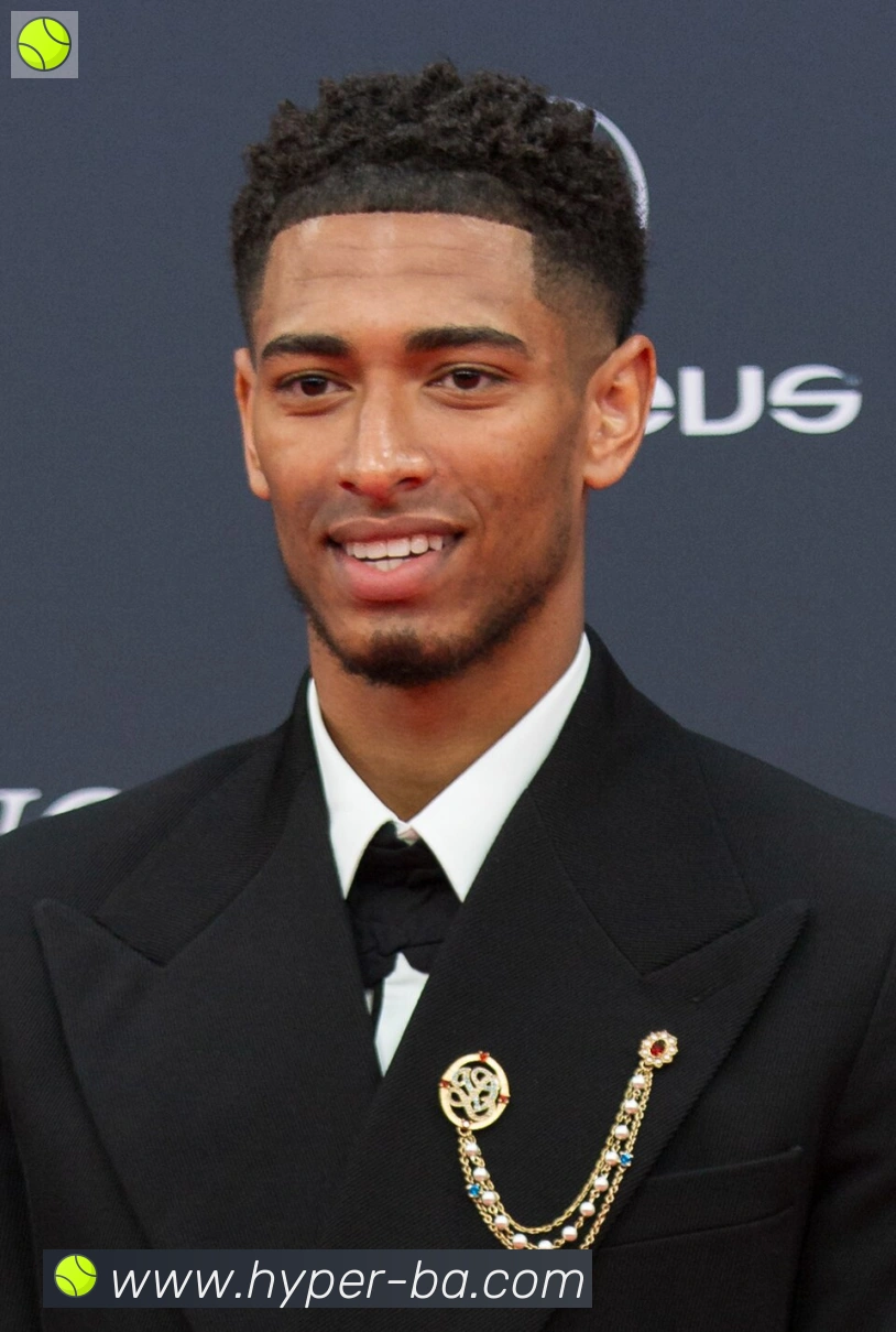 维尼修斯